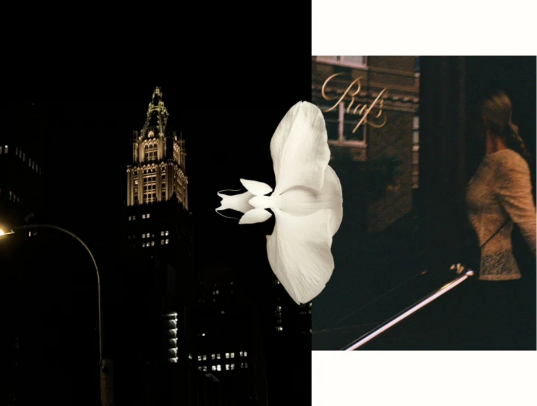 Travel Diaries: New York City