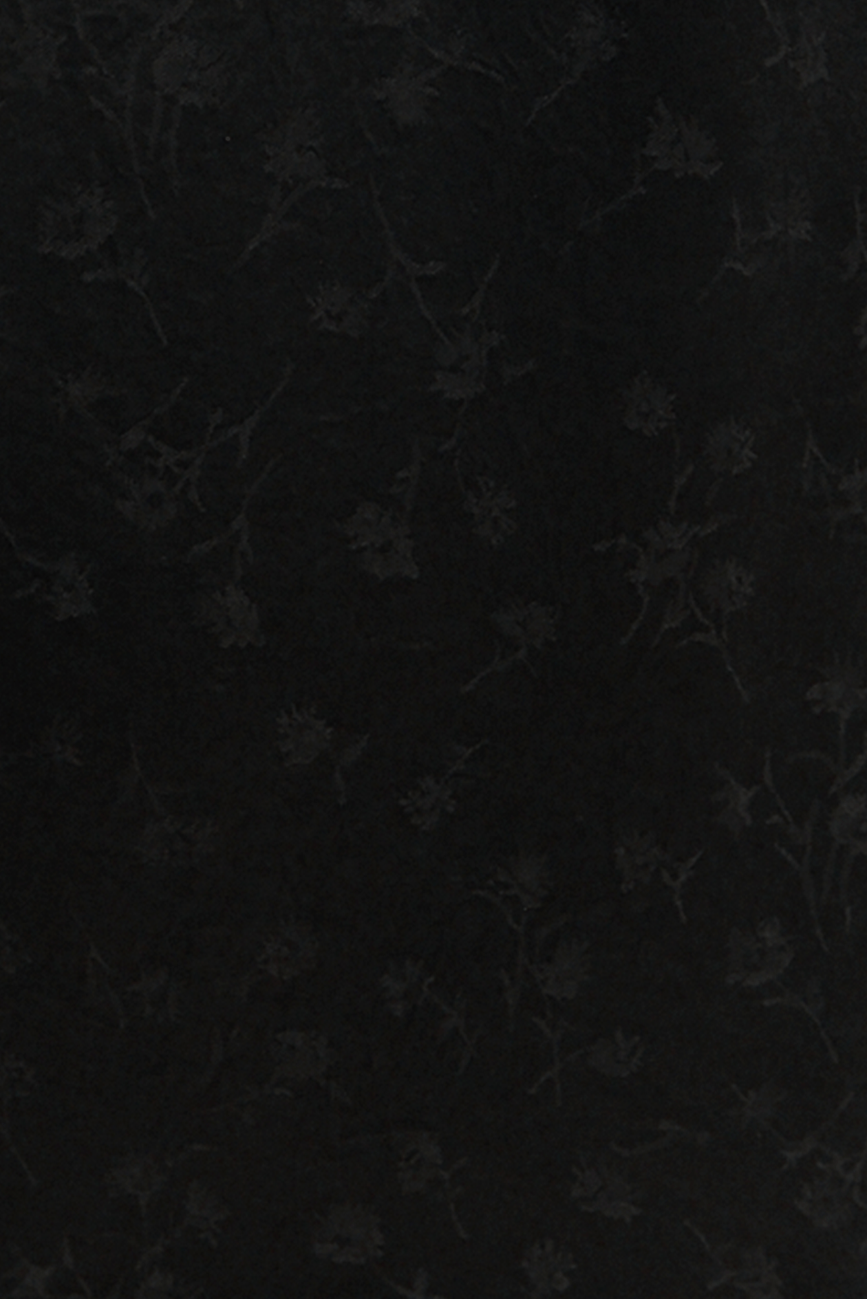 Wexer Dress in Jacquard Satin