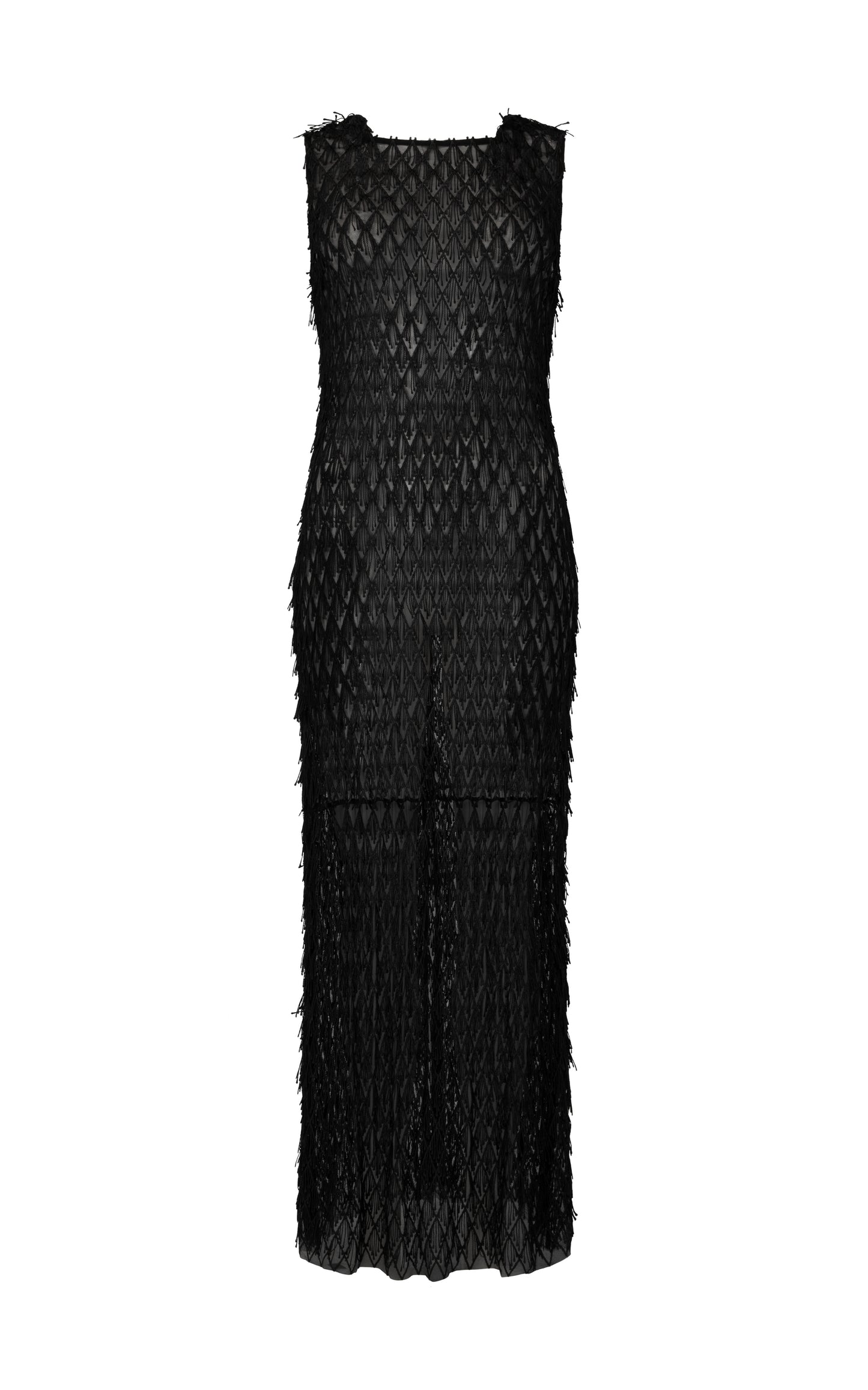 Mira Lace Dress Mesh Fringe