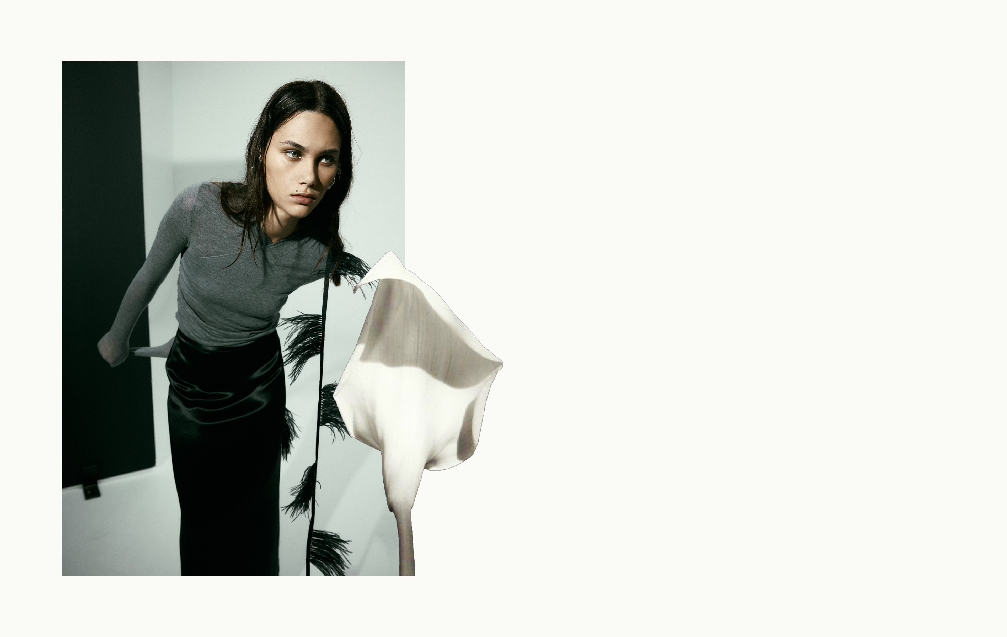 Pre-Fall Musings