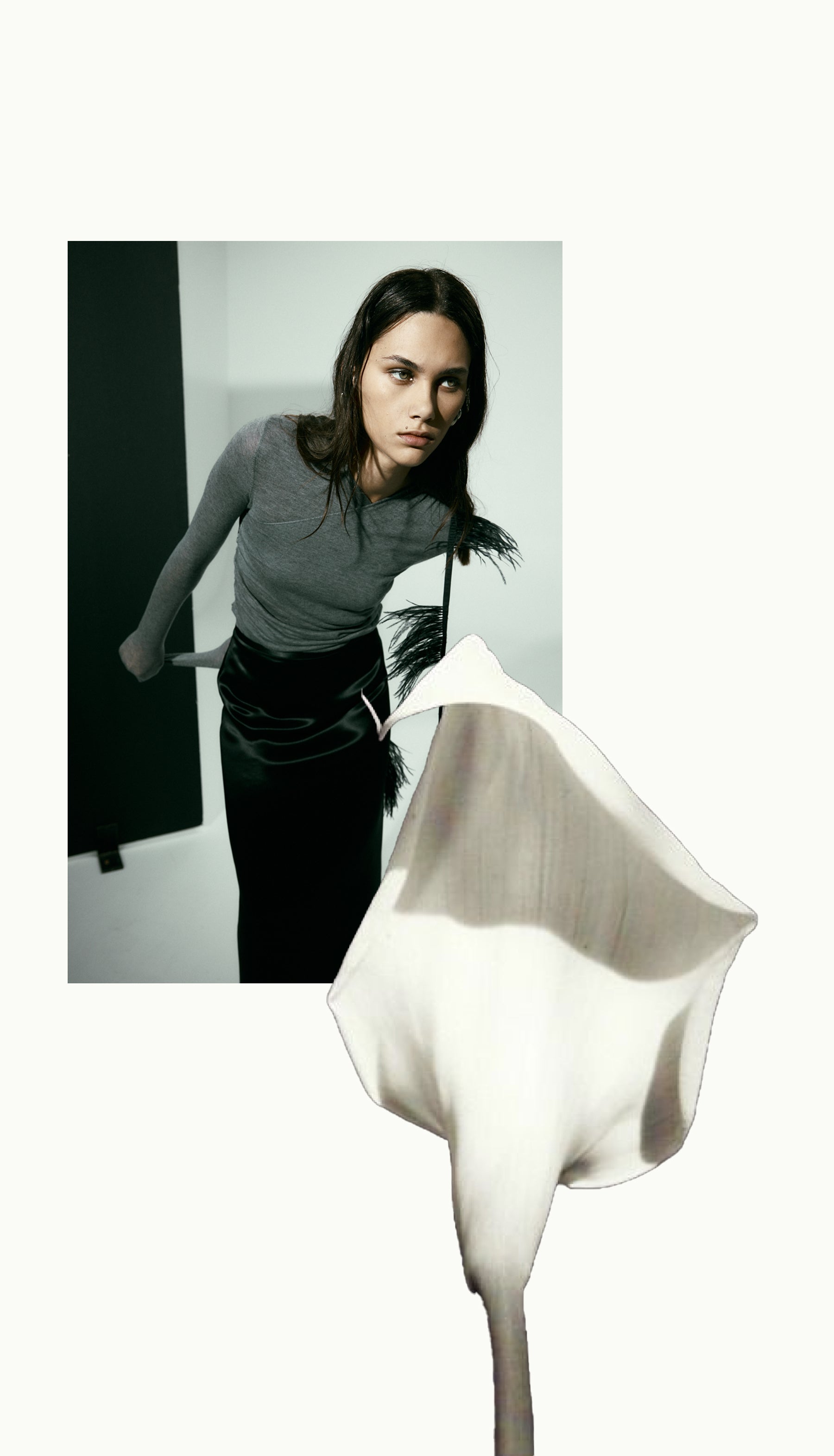 Pre-Fall Musings