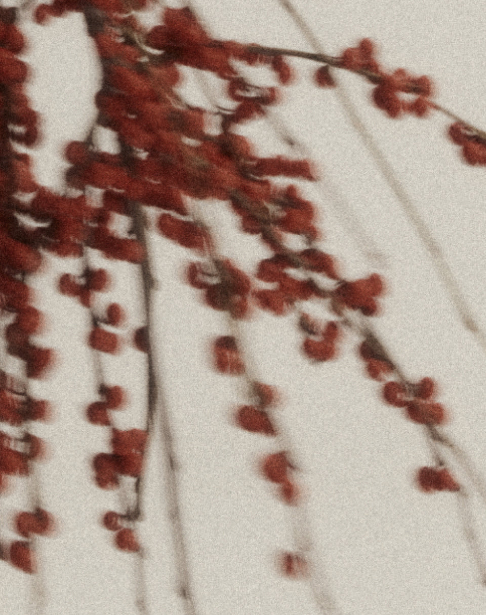 An Ode To Warm Weather