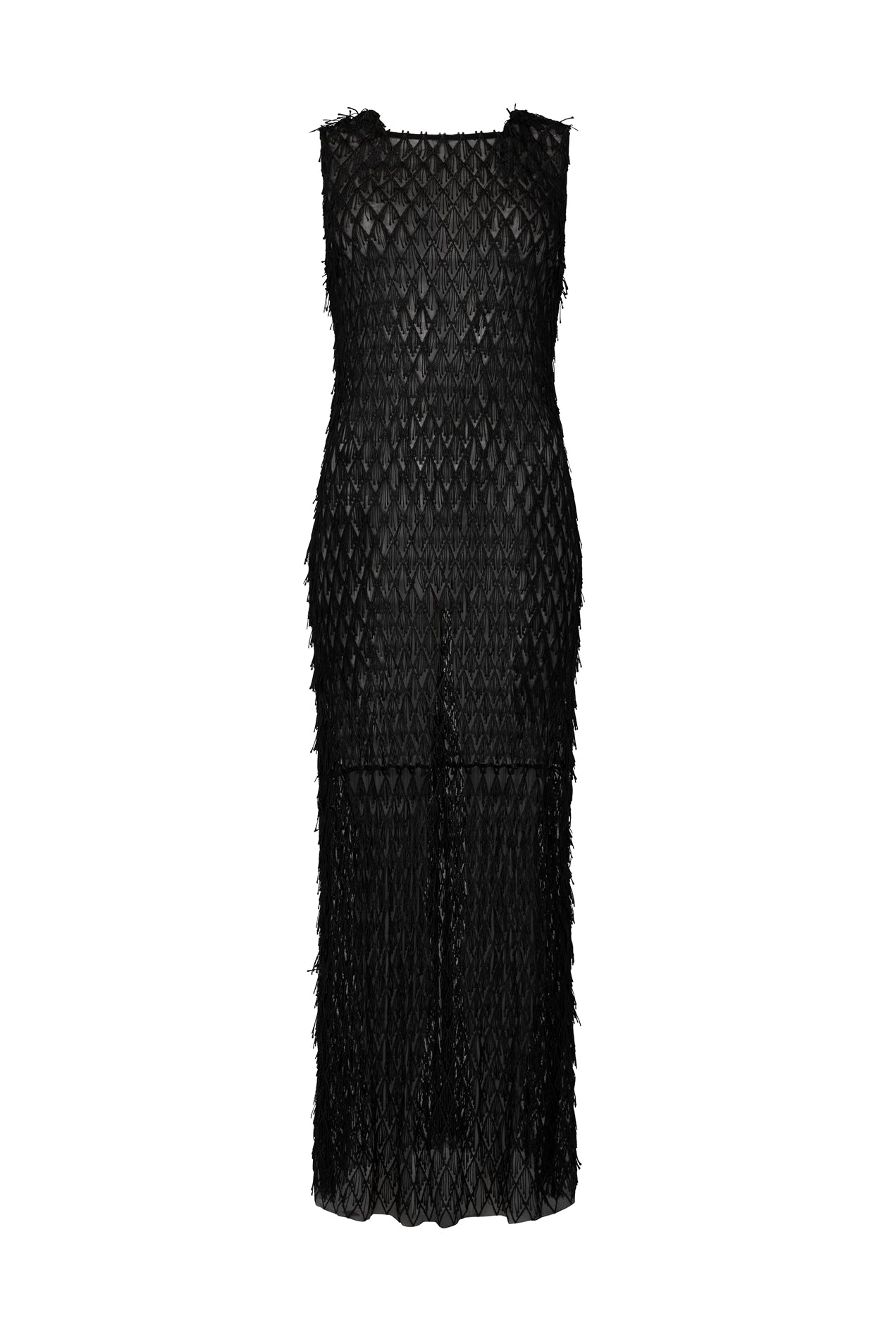 Mira Lace Dress Mesh Fringe
